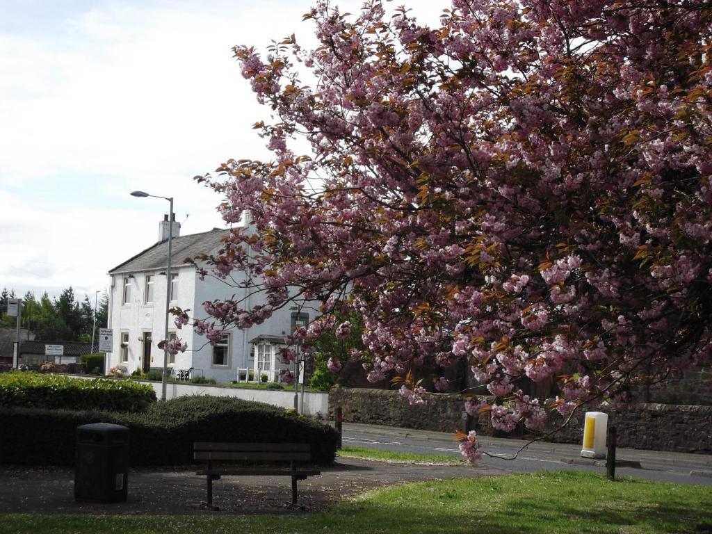 Kirkcroft Guest House グレトナ エクステリア 写真
